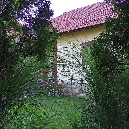 Markovic Holiday home Ivanjica